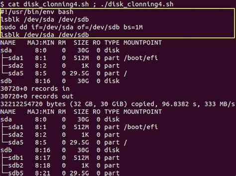 linux cloned disk